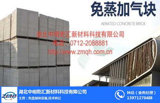 湖北中明乾汇 免蒸加气块技术转让，打造绿色建材新选择